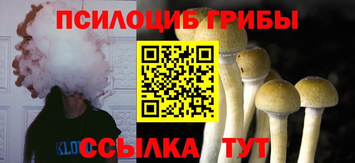 Галлюциногенные грибы мухоморы  Вход с VPN  Гулькевичи 